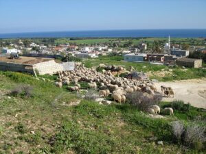 Κώμα του Γυαλού: Ενοικίασαν γη για τουριστικές επενδύσεις