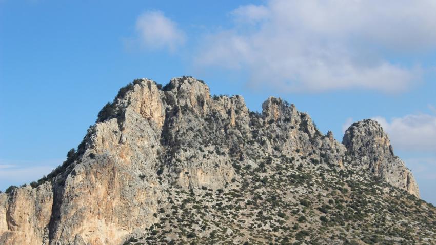 ΠΕΝΤΑΔΑΚΤΥΛΟΣ