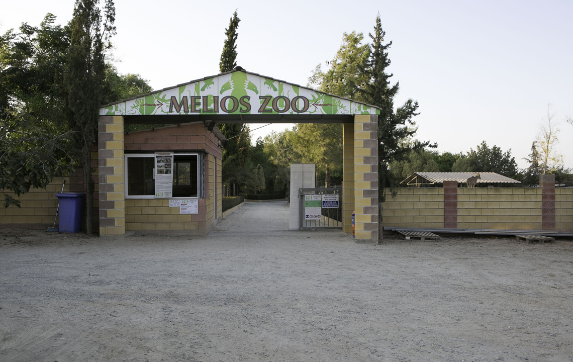 Τι μέλλει γενέσθαι με τα ζώα στο Melios Zoo, μετά την απόφαση για λουκέτο