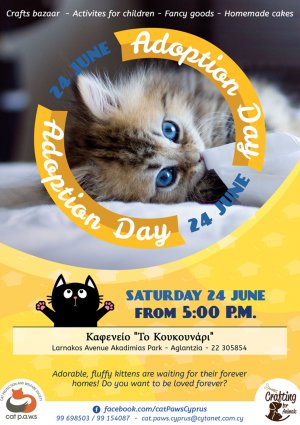 CATS ADOPTION DAY