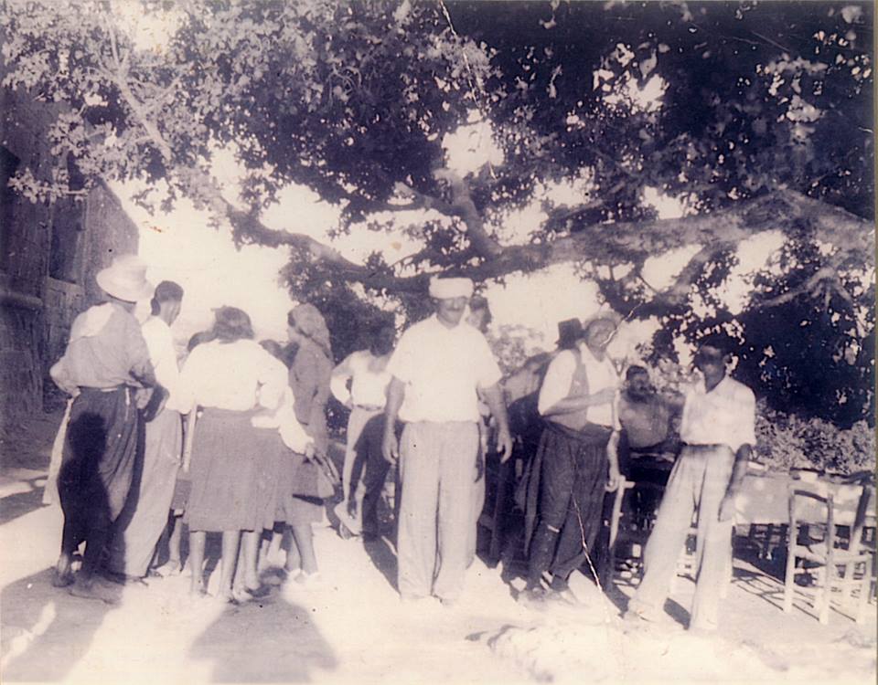 &Alpha;&Gamma;&Iota;&Alpha; &Nu;&Alpha;&Pi;&Alpha;