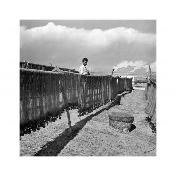 &Alpha;&gamma;&iota;&alpha; &Nu;ά&pi;&alpha; 1953 &phi;&omega;&tau;&omicron;&gamma;&rho;&alpha;&phi;ί&alpha; &alpha;&pi;ό &tau;&omicron; &tau;&alpha;&xi;ί&delta;&iota; &tau;&omicron;&upsilon; &Gamma;&iota;ώ&rho;&gamma;&omicron;&upsilon; &Sigma;&epsilon;&phi;έ&rho;&eta; &sigma;&tau;&eta; &Kappa;ύ&pi;&rho;&omicron;