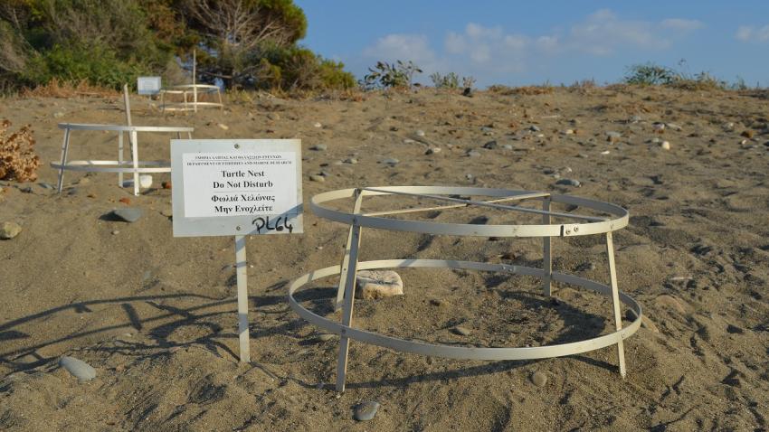 ΠΡΟΣΤΑΤΕΥΤΙΚΟ ΚΛΟΥΒΙ ΧΕΛΩΝΕΣ