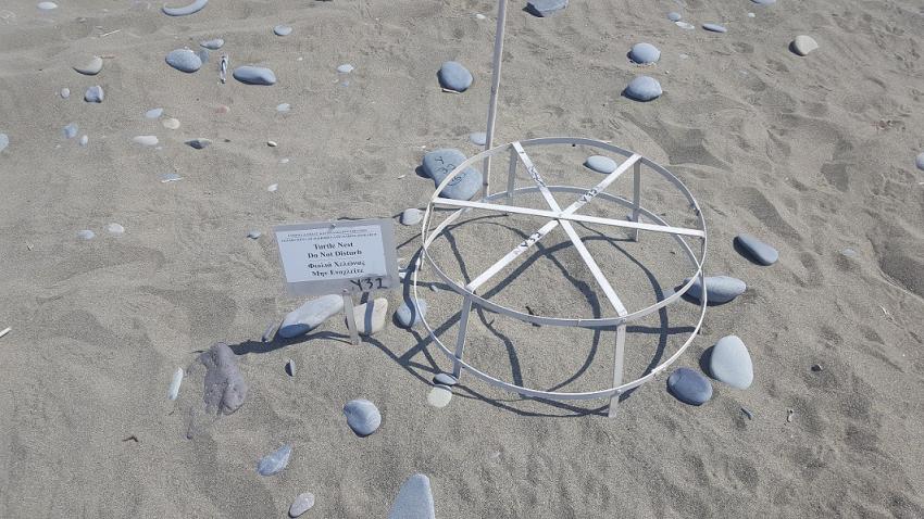 ΠΡΟΣΤΑΤΕΥΤΙΚΟ ΚΛΟΥΒΙ ΧΕΛΩΝΕΣ