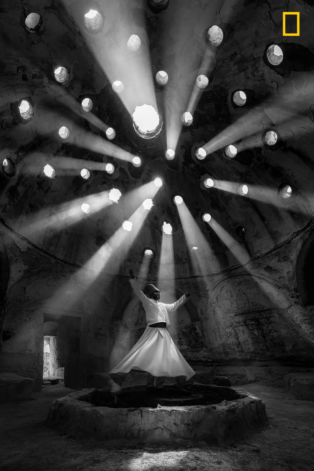 F. Dilek Uyar