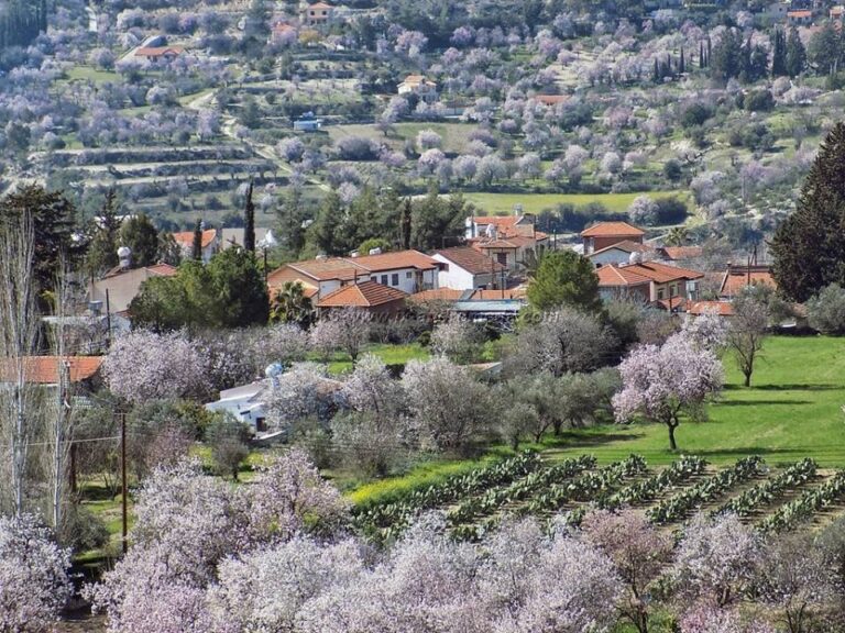 Σήμερα πάμε στον Δωρό Λεμεσού για να γνωρίσουμε την Δωρίτικη φιλοξενία