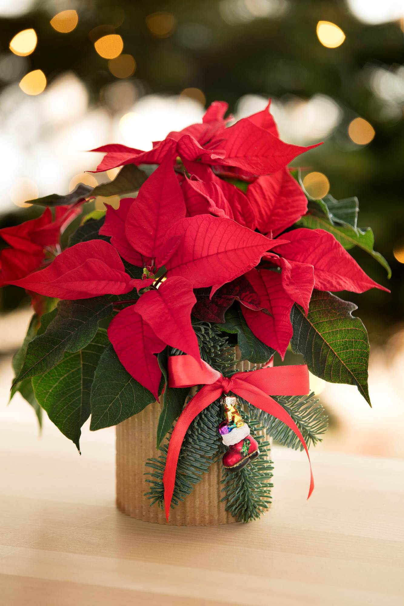 &Delta;&Omega;&Rho;&Omicron;