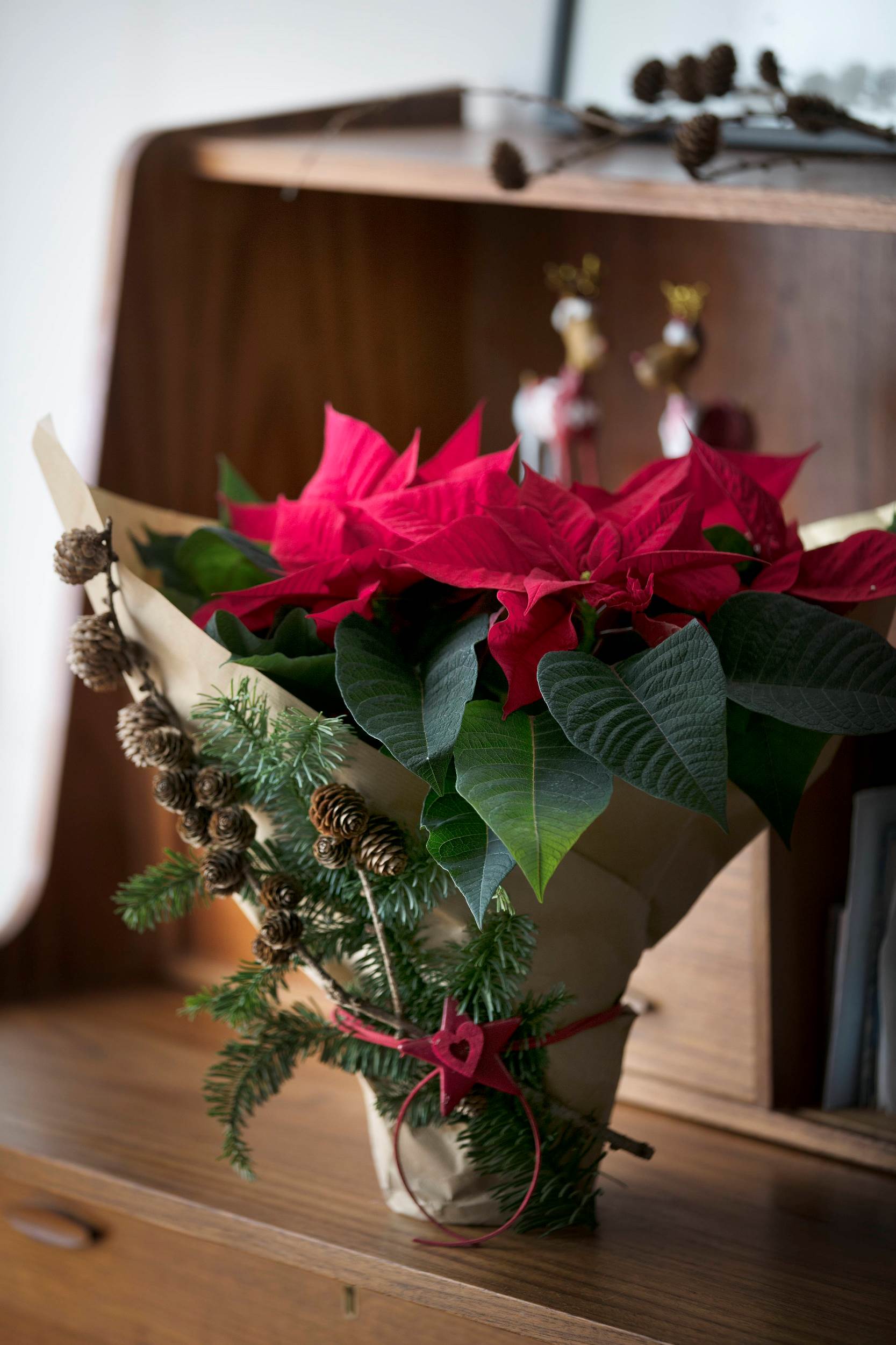 &Delta;&Omega;&Rho;&Omicron;