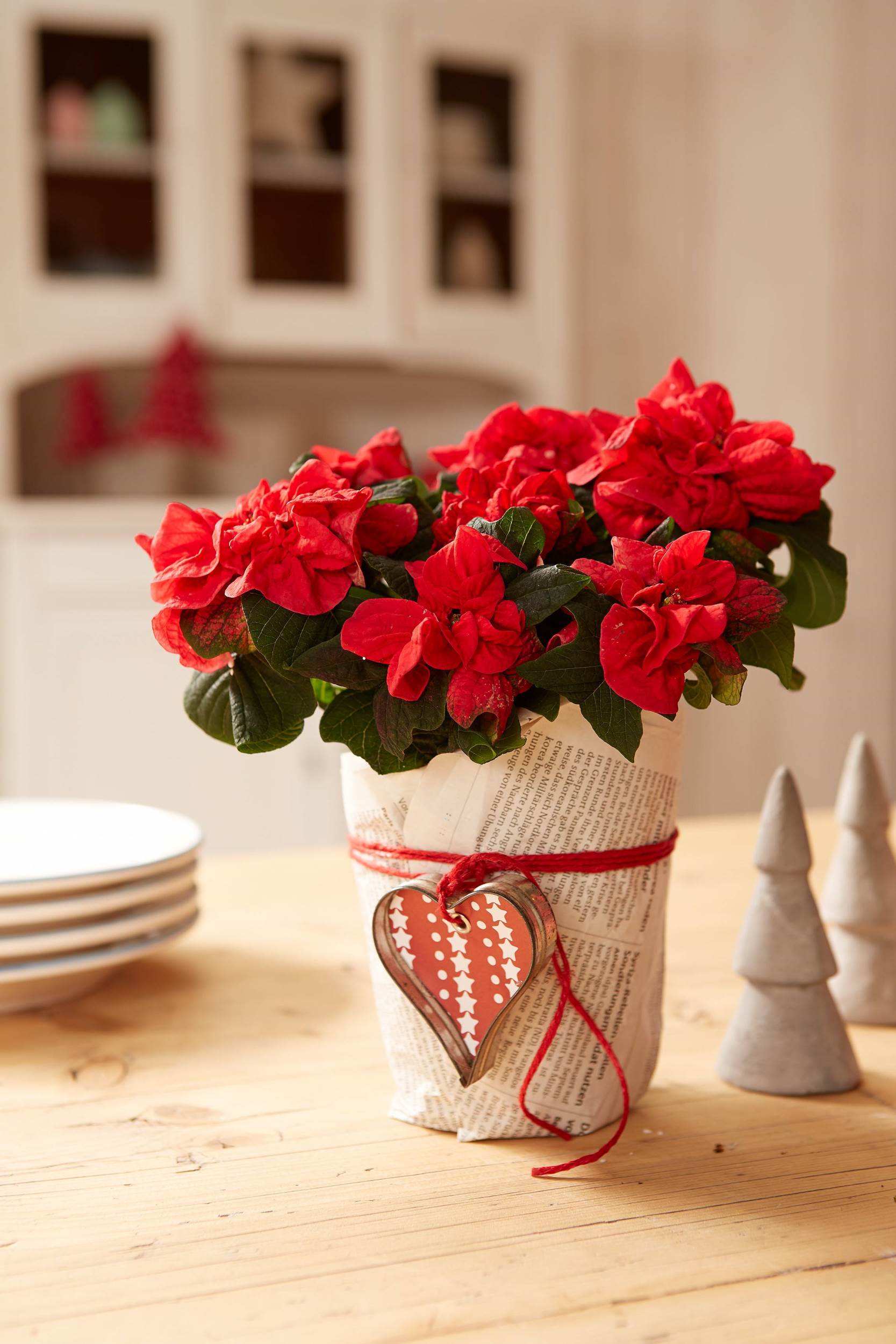 &Delta;&Omega;&Rho;&Omicron;