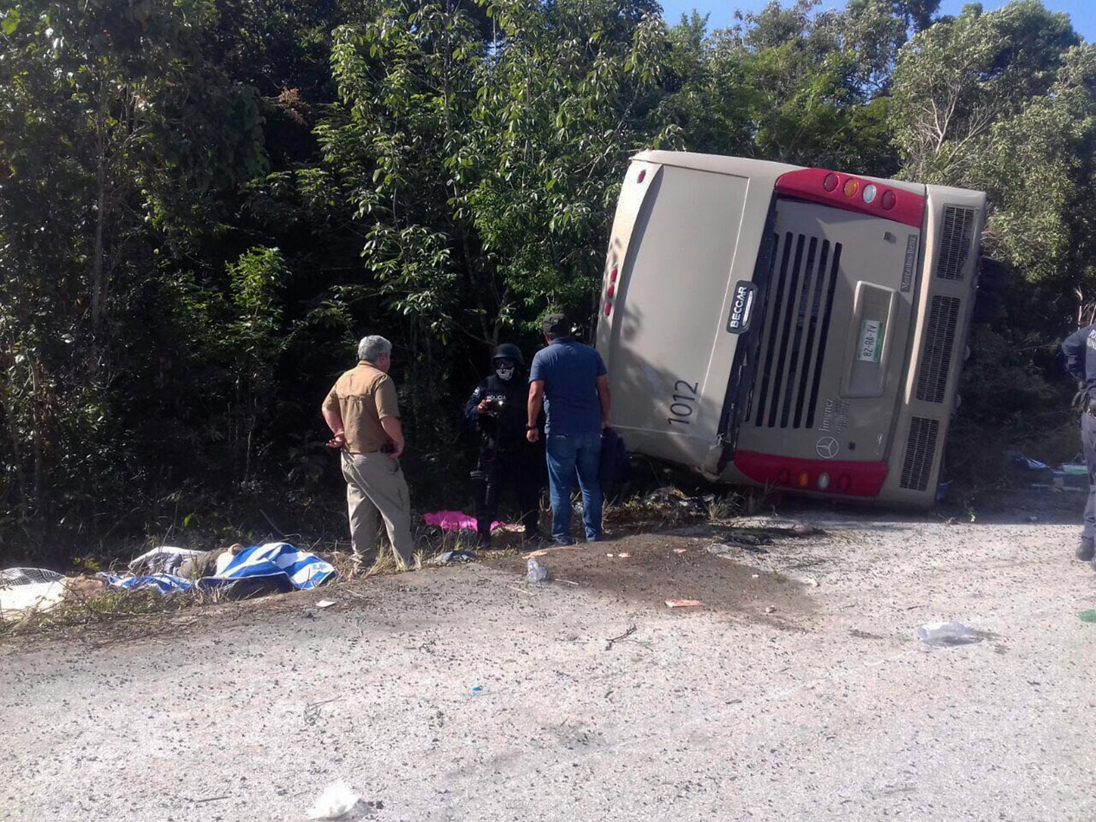 ΜΕΞΙΚΟ ΛΕΟΦΩΡΕΙΟ