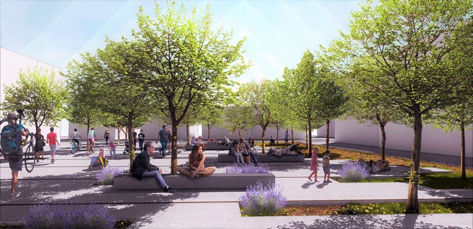 &Alpha;&Gamma; &Nu;&Alpha;&Pi;&Alpha; &Sigma;&Chi;&Epsilon;&Delta;&Iota;&Alpha;