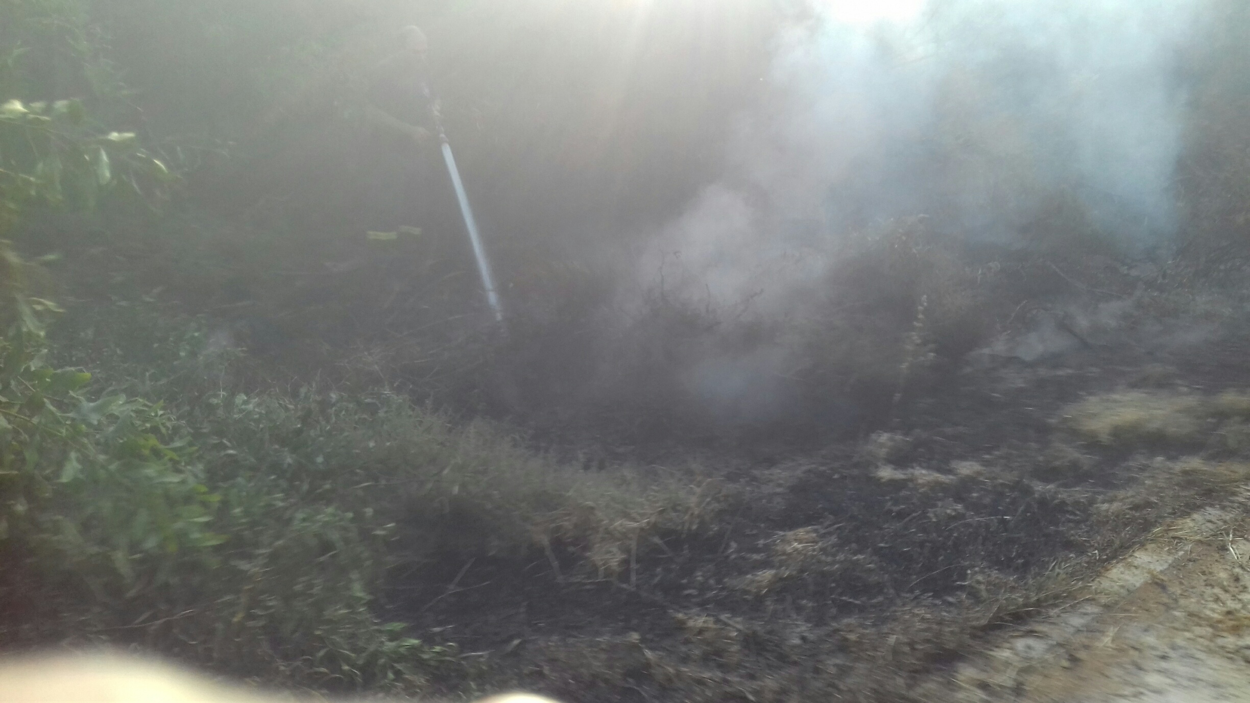 &Phi;&Omega;&Tau;&Iota;&Alpha; &Pi;&Alpha;&Tau;&Tau;&Iota;&Chi;&Epsilon;&Iota;&Omicron;