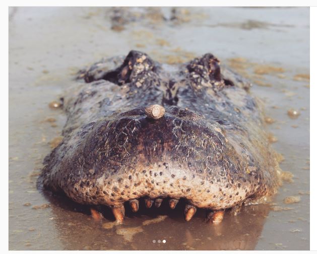 &kappa;&kappa;&kappa;&kappa;