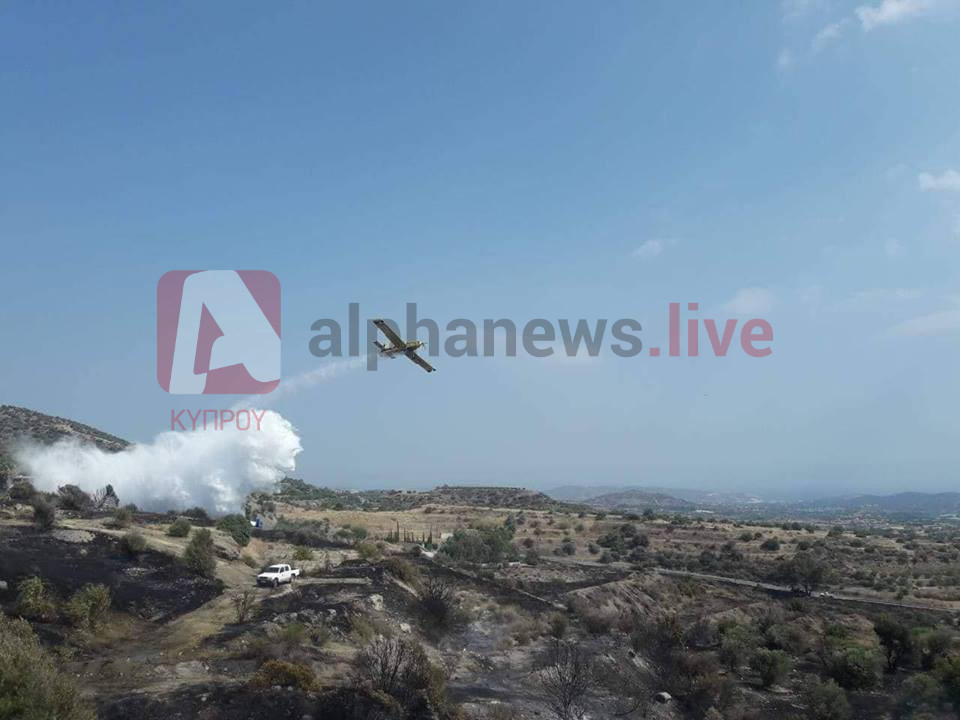 &Pi;&Upsilon;&Rho;&Kappa;&Alpha;&Gamma;&Iota;&Alpha; &Pi;&Alpha;&Rho;&Epsilon;&Kappa;&Kappa;&Lambda;&Eta;&Sigma;&Iota;&Alpha;