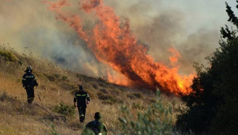 Πυρκαγιά ξέσπασε από πτώση κεραυνού στο δάσος της Πάφου (ΒΙΝΤΕΟ)