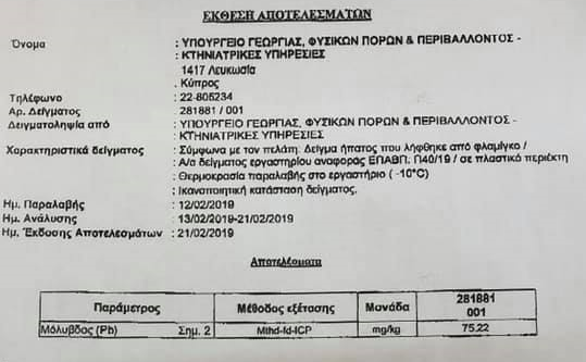 φλαμίνγκο λάρνακα 7