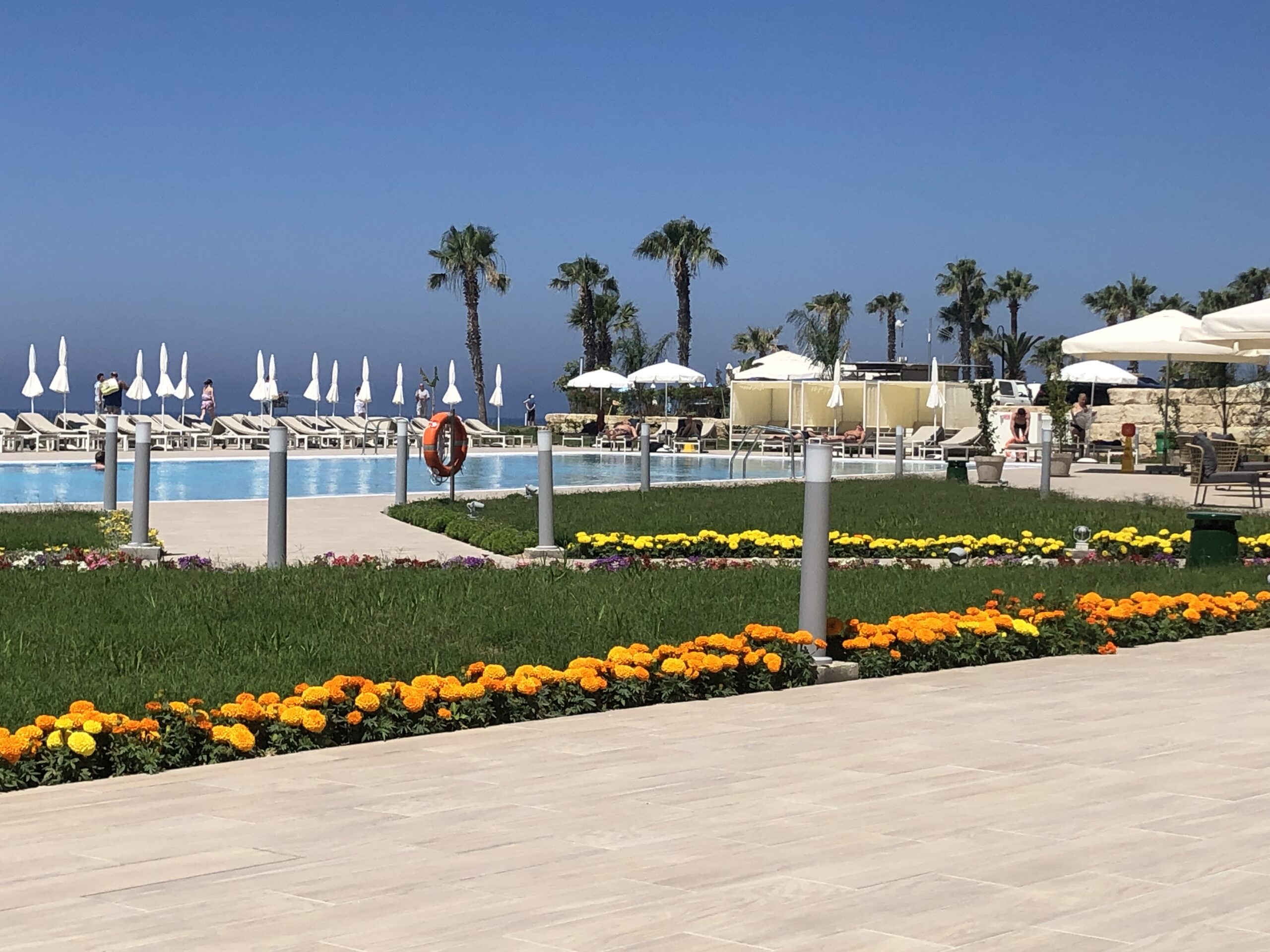 Έ&delta;&omega;&sigma;&epsilon; &lambda;&epsilon;&pi;&tau;&omicron;&mu;έ&rho;&epsilon;&iota;&epsilon;&sigmaf; &gamma;&iota;&alpha; &tau;&omicron; &nu;&epsilon;&kappa;&rho;ό &sigma;&kappa;ύ&lambda;&omicron; &rho;ά&tau;&sigma;&alpha;&sigmaf; Rottweiler &pi;&omicron;&upsilon; &beta;&rho;έ&theta;&eta;&kappa;&epsilon; &sigma;&tau;&eta;&nu; &Alpha;&nu;&alpha;&rho;ί&tau;&alpha; #alphanewslive #Cyprus #Paphos