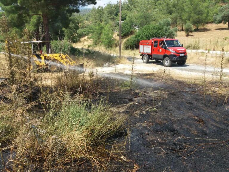 Πυρκαγιά στο Δάσος Αγίοι Σαράντα μεταξύ Πρωταρά και Αγία Νάπα