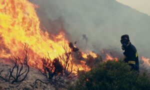 Υπό πλήρη έλεγχο δασική πυρκαγιά στο Μιτσερό