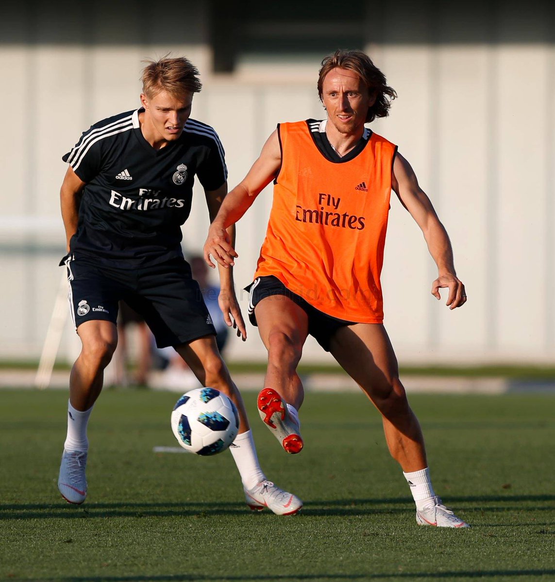 MODRIC