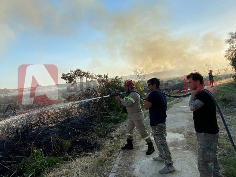 Εμπρησμό λόγω κουνουπιών "βλέπουν" κάτοικοι της Λάρνακας για τη φωτιά στη αλυκή