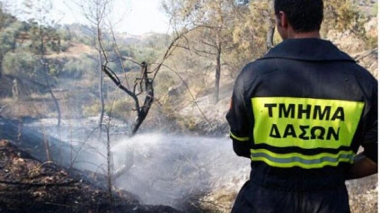 Υπό έλεγχο πυρκαγιά που απείλησε το δασικό Πάρκο Αθαλάσσας