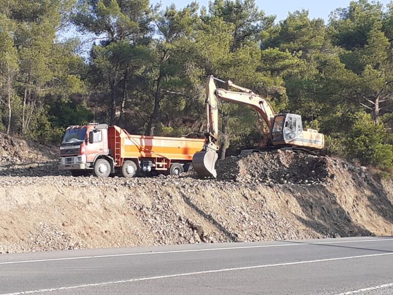 "Θέρισαν" οκτώ πεύκα χωρίς άδεια και τους επιβλήθηκε πρόστιμο (ΦΩΤΟ)