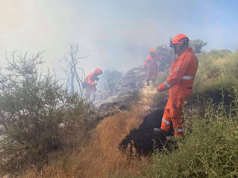 Έργο πυρομανών εκτιμάται ότι είναι η πυρκαγιά στο Πραστειό Αυδήμου (ΒΙΝΤΕΟ)