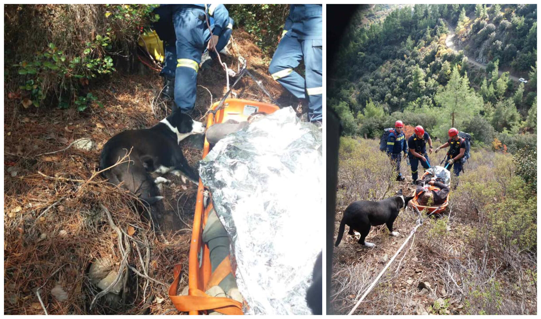 "Δεν άφησε λεπτό από τα μάτια της το αφεντικό της" (ΦΩΤΟ)