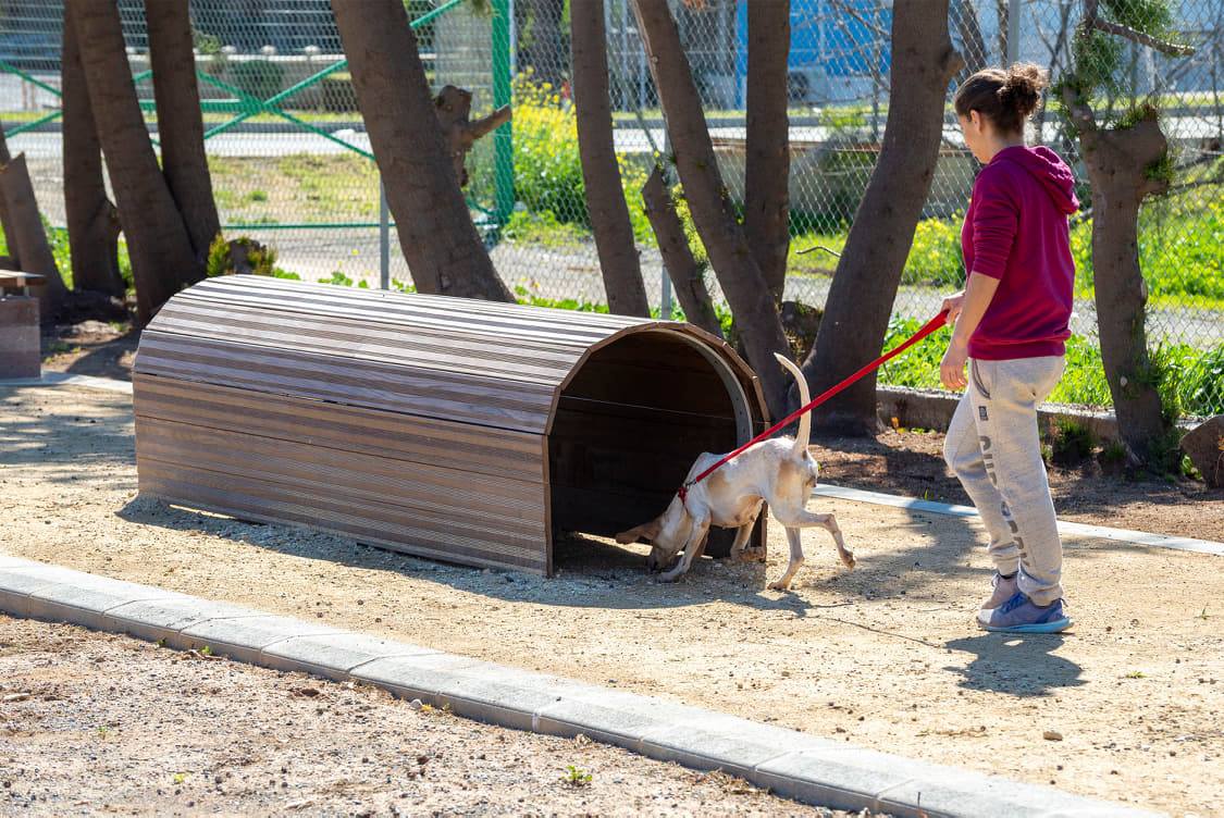 &Pi;&Alpha;&Rho;&Kappa;&Omicron; &Sigma;&Kappa;&Upsilon;&Lambda;&Omega;&Nu;