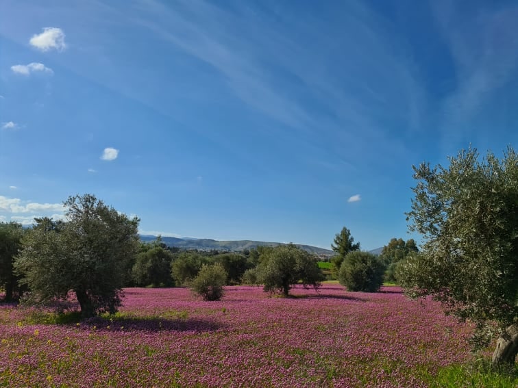 ΚΛΗΡΟΥ