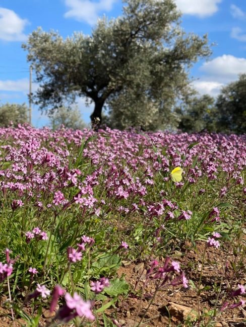 ΚΛΗΡΟΥ