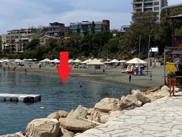 &Lambda;&Epsilon;&Mu;&Epsilon;&Sigma;&Omicron;&Sigma;