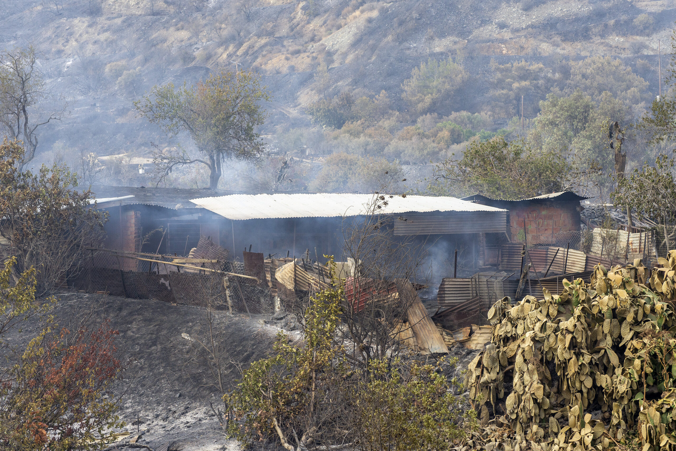 &lambda;&lambda;&lambda;&lambda;