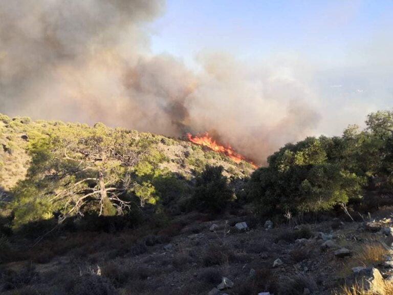 Καρέ-καρέ η μάχη που έδωσαν οι πυροσβέστες στην περιοχή Αρμενοχωρίου (ΒΙΝΤΕΟ)