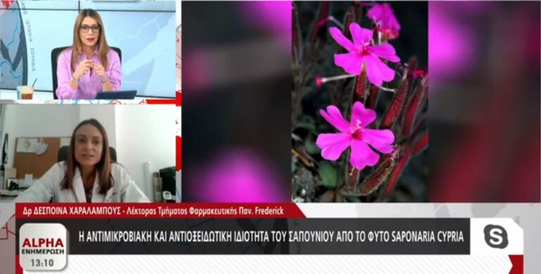 Δημιούργησαν 100% φυσικό σαπούνι από το ενδημικό φυτό Saponaria Cypria (ΒΙΝΤΕΟ)