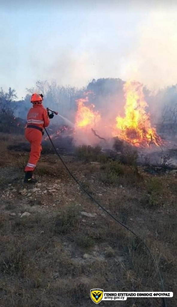 ΔΑΝΑΗ ΖΑΝΝΕΤΟΥ