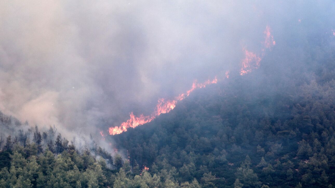 Μεγάλη πυρκαγιά στην Ηλεία, εκκενώθηκε χωριό (ΒΙΝΤΕΟ)