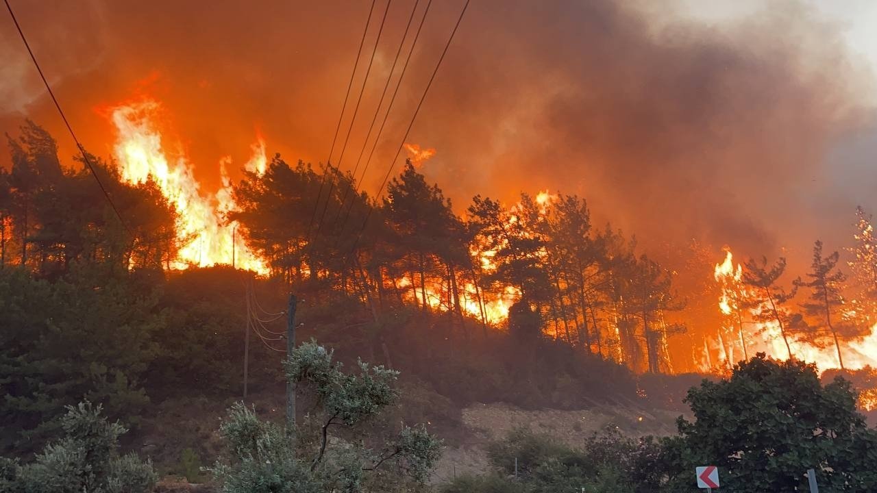 Η Ε.Ε. παρέχει βοήθεια στη Σλοβενία για αντιμετώπιση των πυρκαγιών στη χώρα