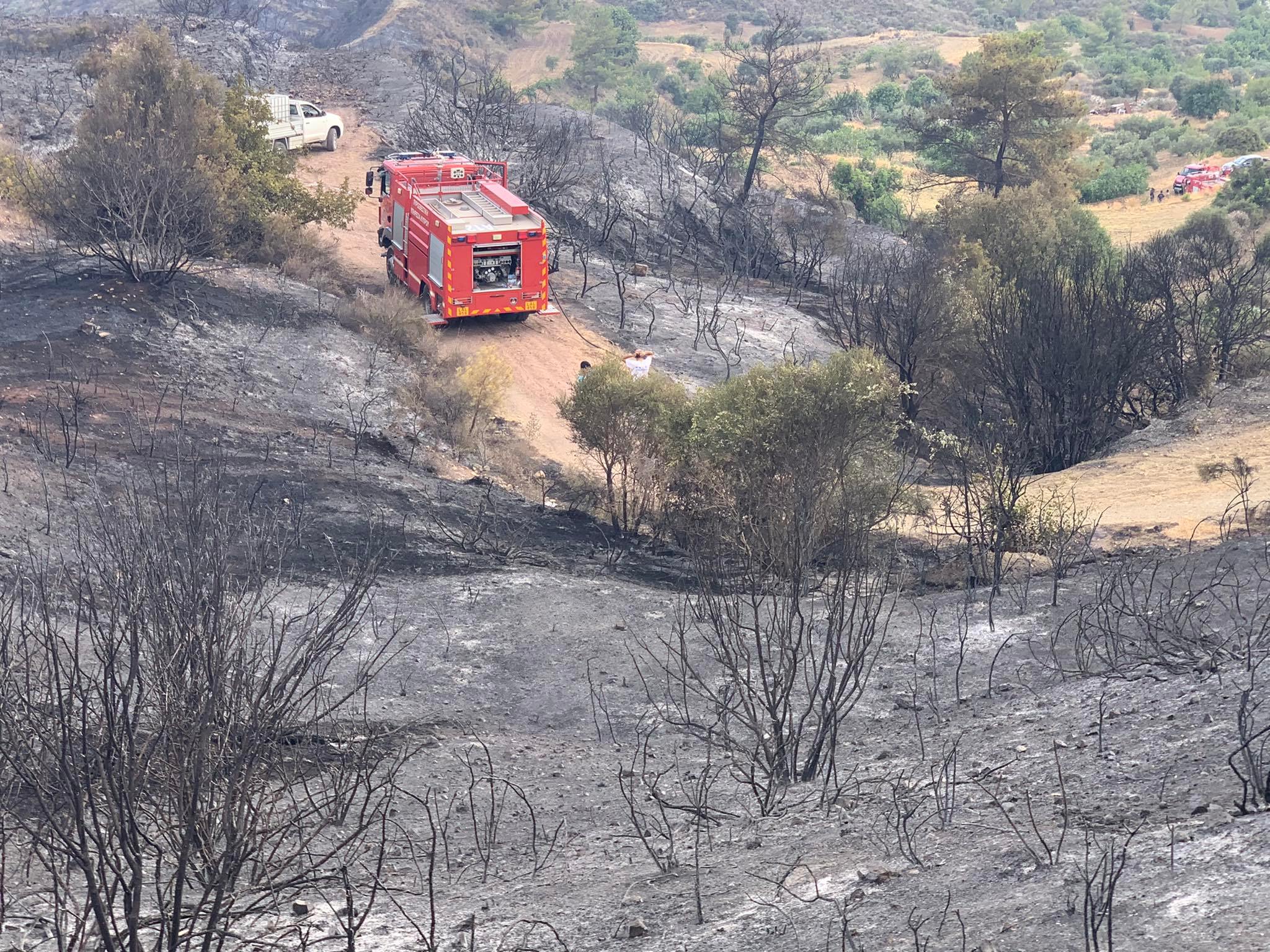 Υπό έλεγχο οι πυρκαγιές σε Τσέρι και Λάγεια, παραμένουν τα επίγεια μέσα