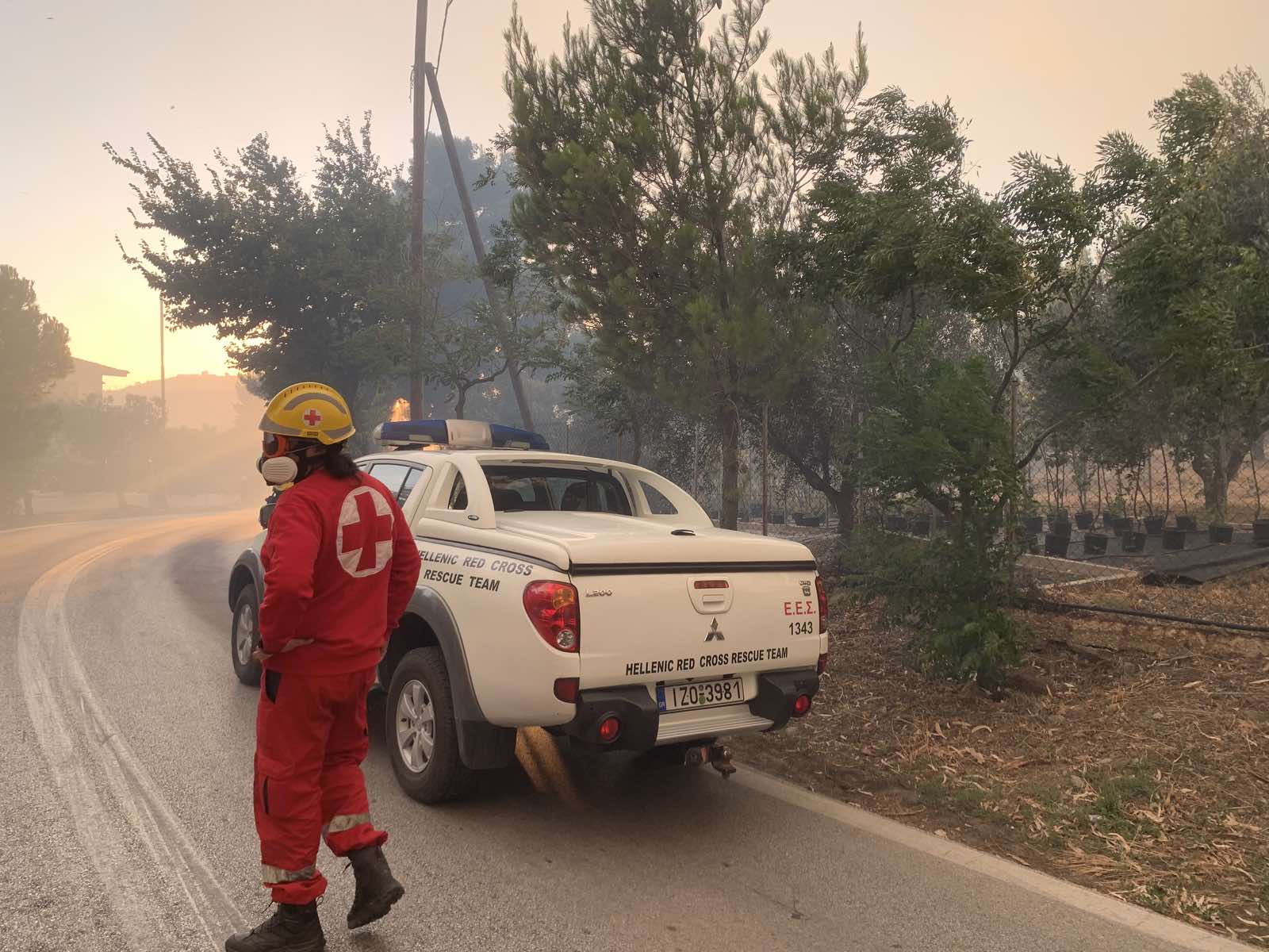 πυρκαγια παλληνη