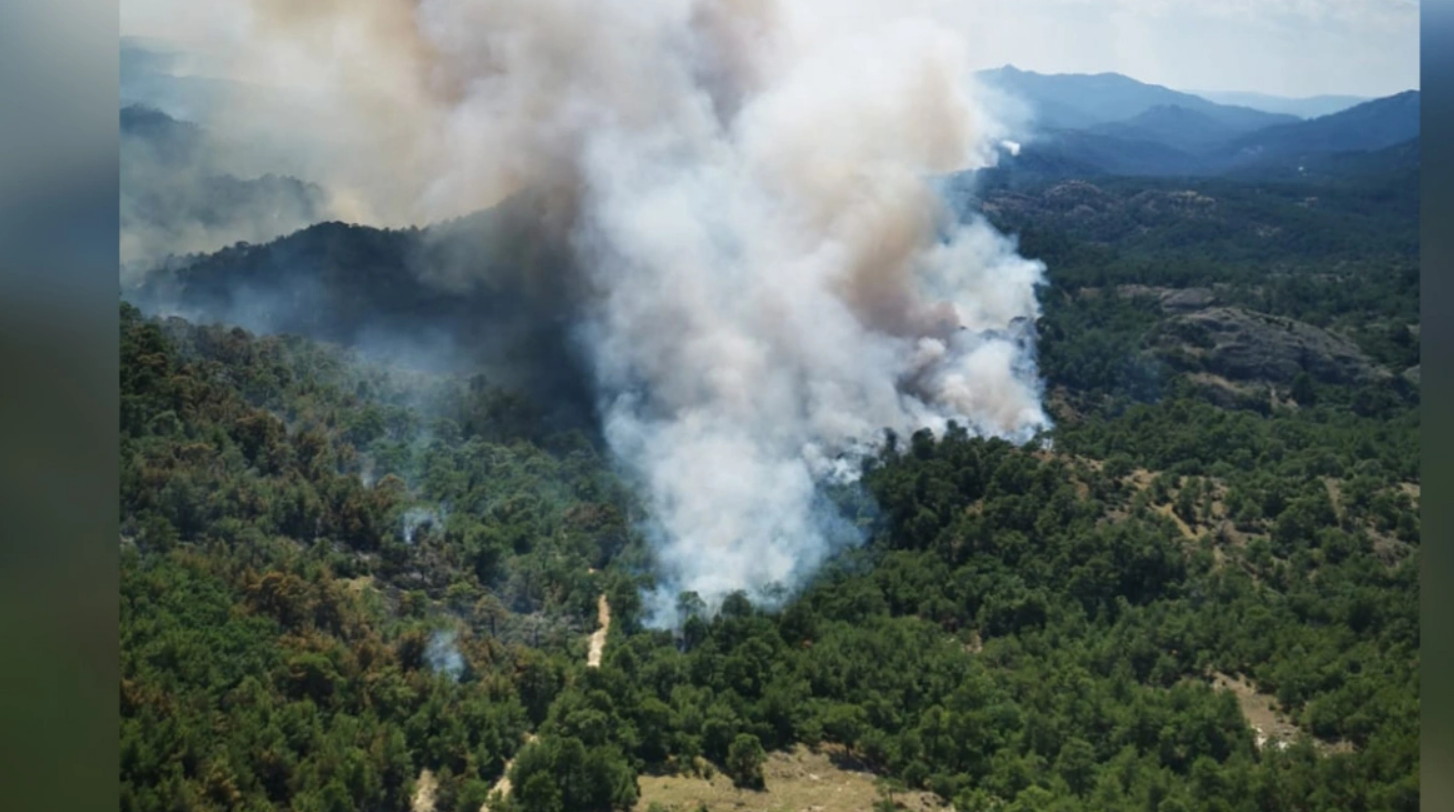 Η πύρινη λαίλαπα που ξέσπασε στον Έβρο σαρώνει το δάσος της Δαδιάς