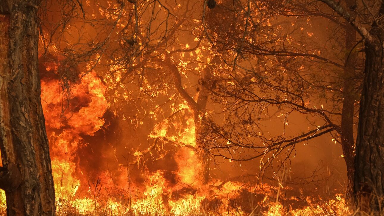 Δύσκολες «μάχες» στην Ελλάδα, πολλά τα πύρινα μέτωπα σε ολόκληρη τη χώρα