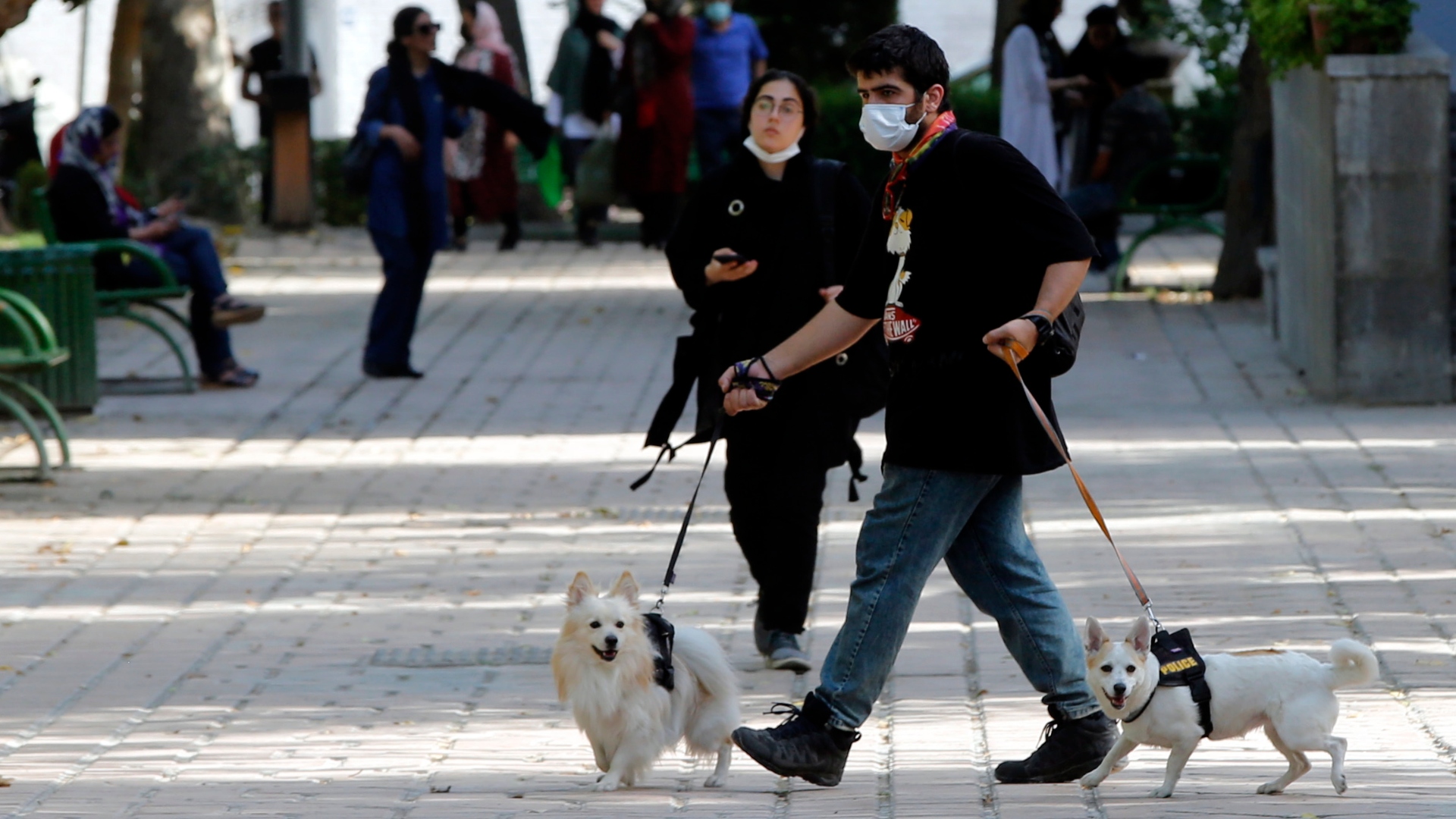 STOP σε σκύλους από τις παραλίες και τους πεζόδρομους του Αγίου Τύχωνα