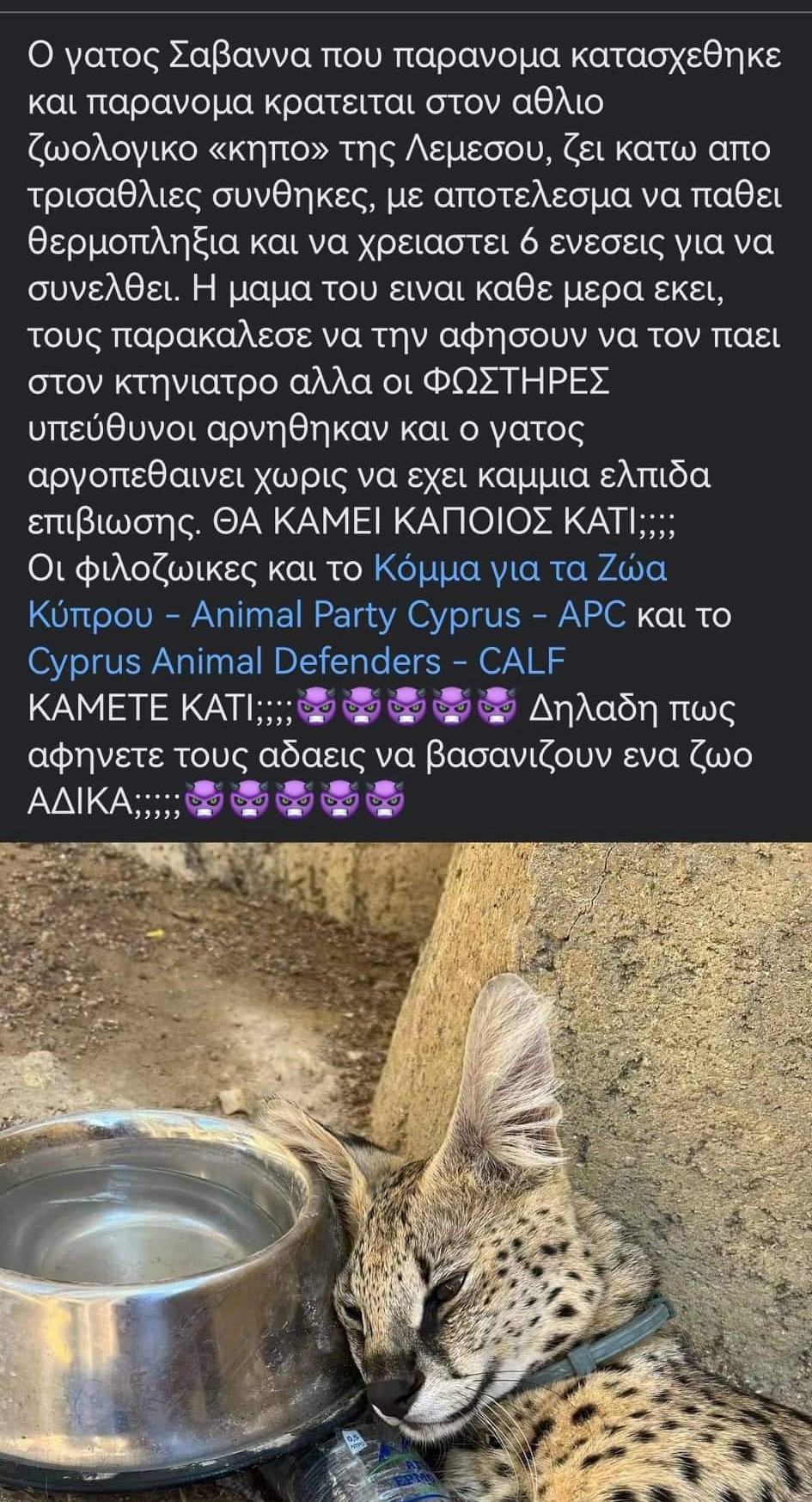 κκκ