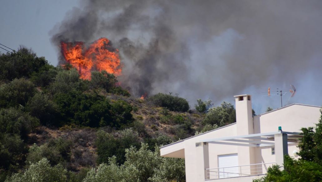 Φωτιά στην Αργολίδα: Καίει κοντά σε κατοικημένες περιοχές, εκκενώθηκε ξενοδοχείο