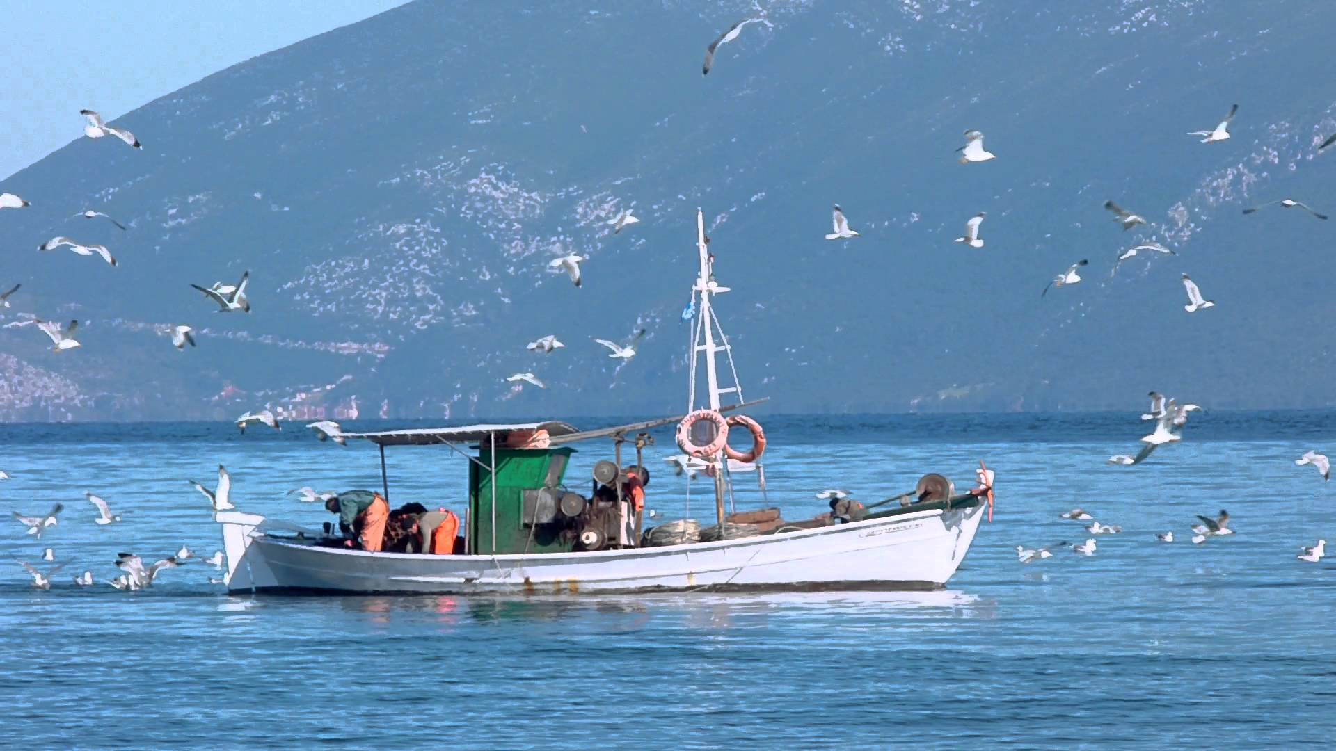 Πενήντα πέντε εκατομμύρια για τον αλιευτικό τομέα μεταξύ 2021-2027