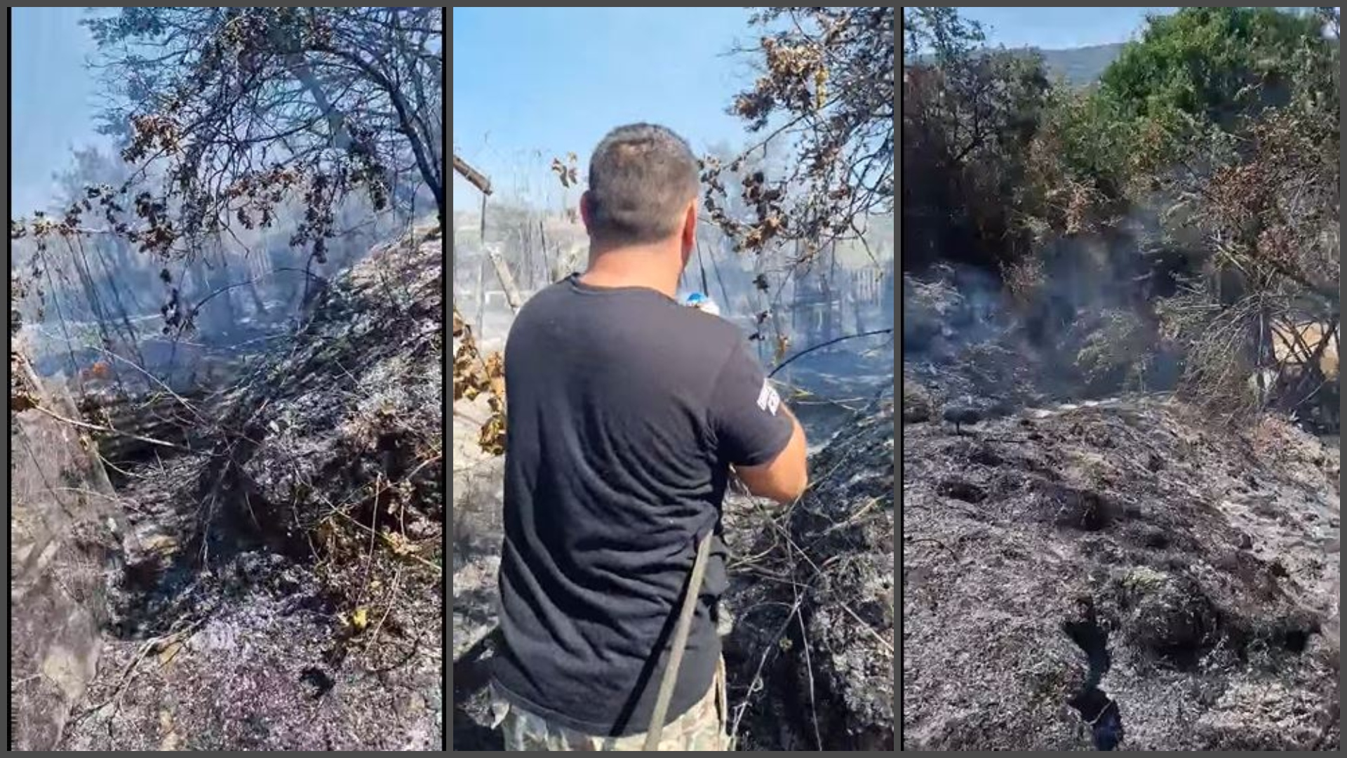 Γιόλου: Ένας σκύλος νεκρός κι ένας αγνοούμενος ο θλιβερός απολογισμός της φωτιάς