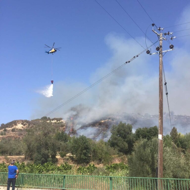 Κινδυνεύουν δάση από γυμνά καλώδια και παράνομες ηλεκτροδοτήσεις