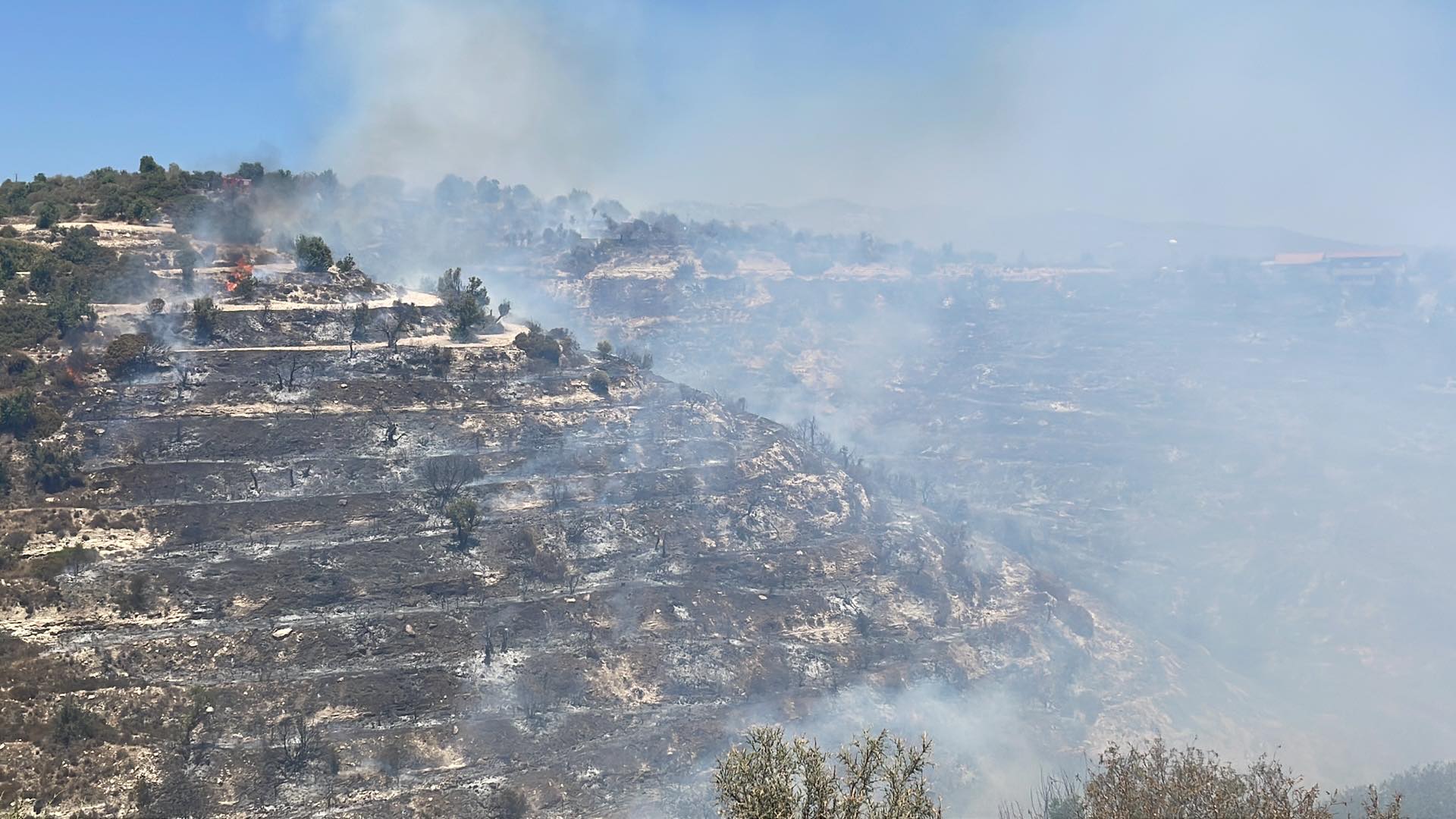 Καθησυχάζει η Μετεωρολογική:Δεν θα πνέουν ισχυροί άνεμοι στην περιοχή της φωτιάς